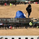 효성서초등학교 이미지