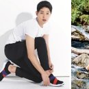 트라비즈 이미지