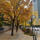 등촌샤브칼국수 방화점 | [월간일기] 어느새 11월