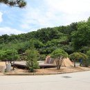 물왕숲캠핑파크 이미지