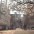 새서울내과의원 이미지