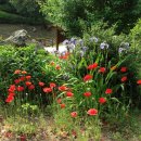 중명생태공원 이미지