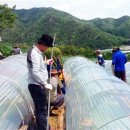 정송농장 이미지