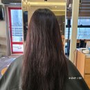 헤어레스트쉼