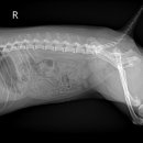 다산동물병원 이미지