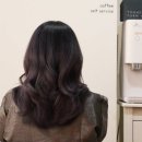 헤어스튜디오봄봄 이미지