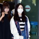신비 카카오 검색결과