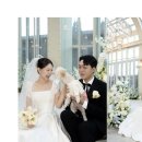 290 | ⭐️청주대전 본식스냅 ‘290스냅’ 계약 후기⭐️