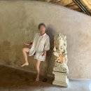 랄라독 | 발리요가여행 우붓알케미요가 파이어클래스 원데이 워크인 후기, 수련이 절로된다
