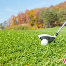 더블유스크린골프 이미지