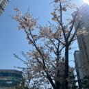 더자라모텔 | +7kg.. 뚱산모가 되가는 중기 임산부의 일상 (~22주)