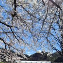 희망교 자전거도로 쉼터 | 《경남 진주》 진주에서 제일 핫한 명품 10리 벚꽃길