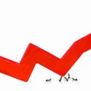 다윗 CO. 이미지