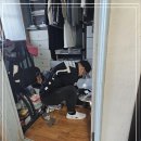 방역수사대부산