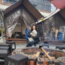 송강애견 이미지