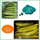 아내의 텃밭 이미지