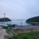 거제스페이스펜션 | 거제애견동반펜션 거제스페이스펜션 댕댕이도 함께하는 힐링여행♥️