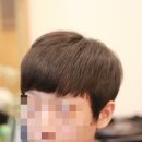 더 하우스 헤어