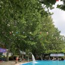 훼미리랜드 | 아산 충무풀장, 훼미리랜드 (8/7 방문 후기)