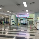 YES 가동 | 인천 송도 예스다이빙 프리다이빙 체험 후기,초보 5m 잠수 도전