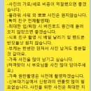 반딧불수제화 | [w-17] 본식 한달 전 체크리스트ㅣ이제는 빨리 끝내버리고 싶은...