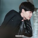 보고또보고