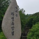 구재봉자연휴양림 이미지