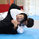 화랑합기도&부여주짓수 이미지