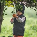 여정농장 이미지