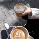 빙그루밍 이미지