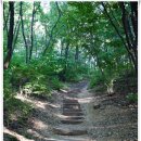 꽃헤아리다