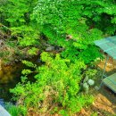 오서산 늘봄 가족독채펜션 이미지