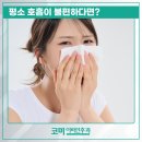 코미이비인후과의원 네이버블로그