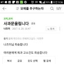 파이어독