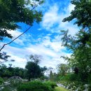 라성관광농원 이미지