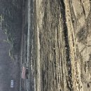 명암낚시터 이미지