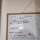 [10/25] 심리극 속 나를 찾는 여행 : 나를 또 다시 외치다 | [캐나다 한달 여행기] 캐나다 한달여행기라더니 왜 시애틀에 가있나요?