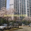 봉담역동남공인중개사사무소 | 봉담2지구 옆 수정마을 동남메리트단지내사진