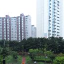 대촌주유소 이미지