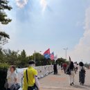 평화쉼터 | 6.28. 참정권회복을 위한 평화시위 참여후기(실제로 와보니 아주 평화롭고 반성하게 됩니다.)