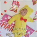 랑랑 | 50일셀프촬영 랑랑베베 하리곰 내돈내산 솔직후기