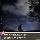 켈리 | 괌 별빛투어 시간 준비물 포즈 촬영 팁 괌켈리네 후기