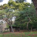 한성 당구장 이미지