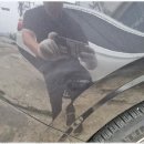 크린손세차장 이미지