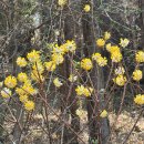 남해해상랜드 이미지