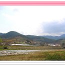 남양1리 이미지