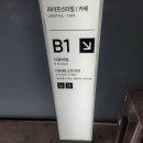 인디언보이 | [서울숲]취향가옥2 유료 전시 팝업 방문후기