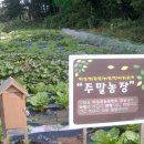 제경농장 이미지