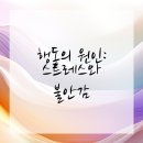 코아동물병원 | 문 긁는 고양이, 해운대동물병원에서 해결해봐요!