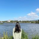수산저수지입구 티스토리